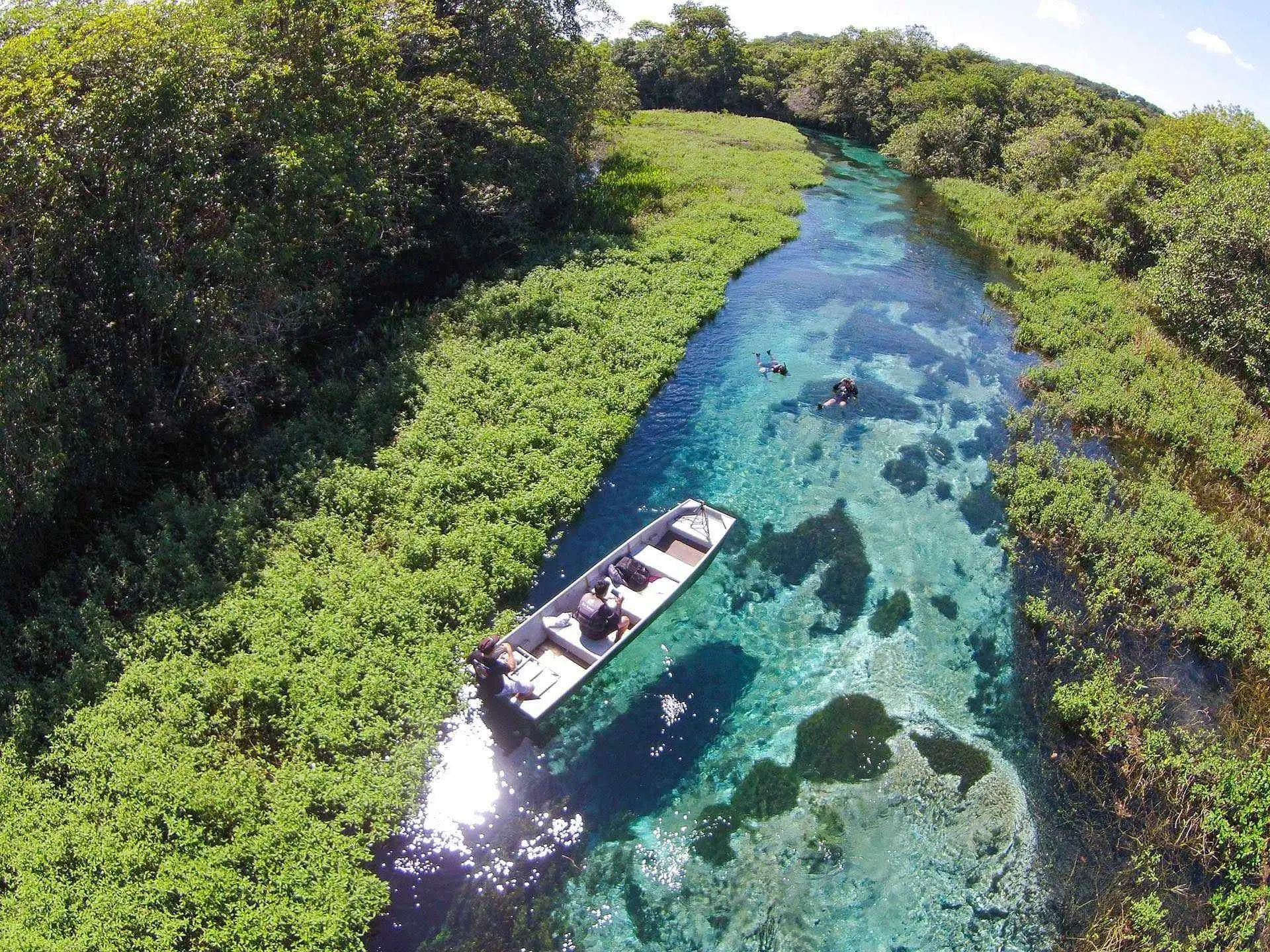 Natureza e Caribe